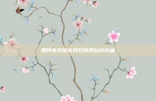 如何有效提高我们的网站访问量