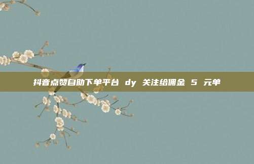 抖音点赞自助下单平台 dy 关注给佣金 5 元单