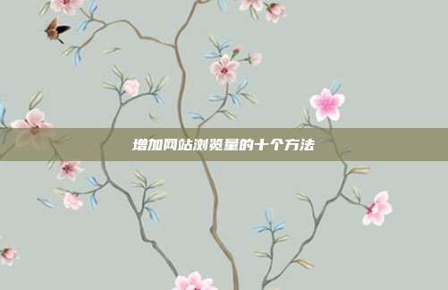 增加网站浏览量的十个方法