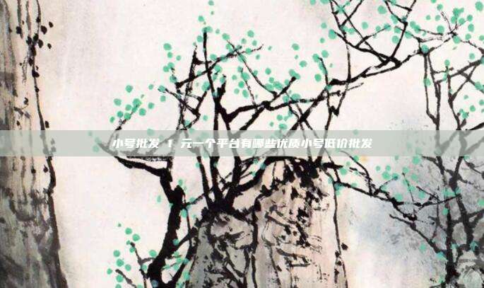小号批发 1 元一个平台有哪些优质小号低价批发