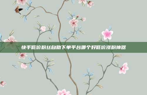 快手低价粉丝自助下单平台哪个好低价涨粉神器