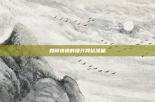 如何快速的提升网站流量