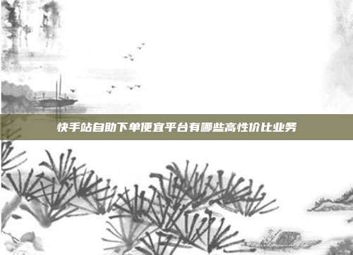 快手站自助下单便宜平台有哪些高性价比业务