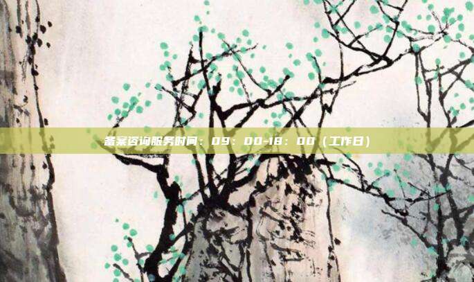 备案咨询服务时间:09:00-18:00(工作日)