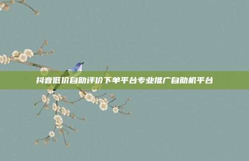 抖音低价自助评价下单平台专业推广自助机平台