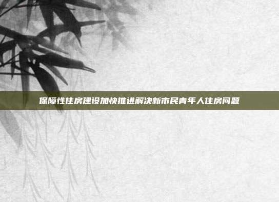 保障性住房建设加快推进解决新市民青年人住房问题