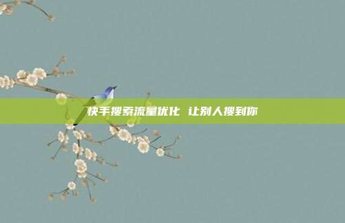 快手搜索流量优化 让别人搜到你