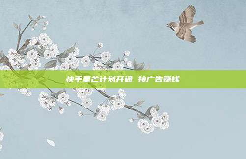 快手星芒计划开通 接广告赚钱