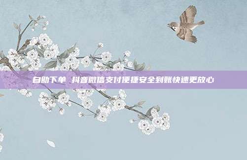 自助下单 抖音微信支付便捷安全到账快速更放心