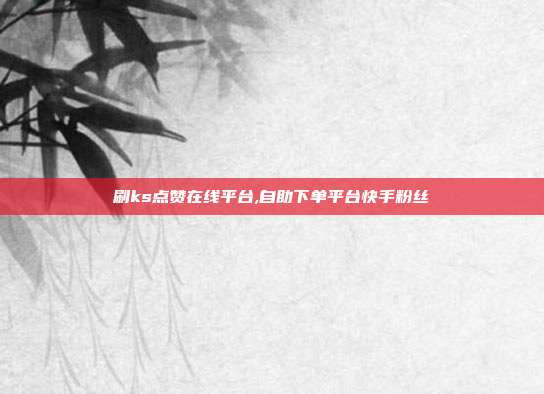 刷ks点赞在线平台,自助下单平台快手粉丝