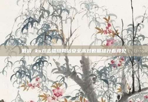 低价 ks双击播放网站安全高效数据提升看得见