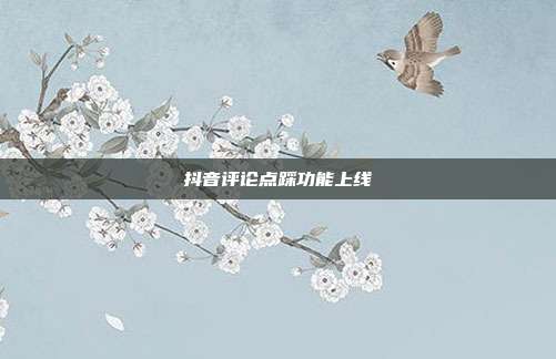 抖音评论点踩功能上线