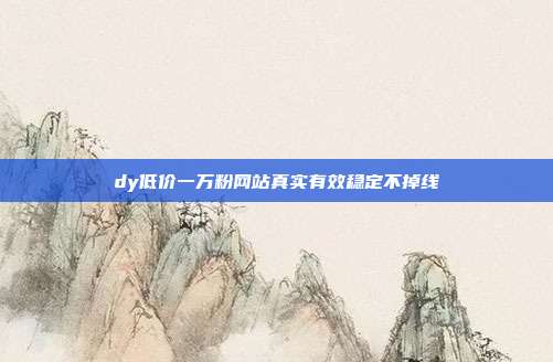 dy低价一万粉网站真实有效稳定不掉线