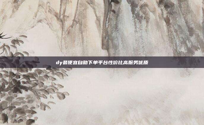 dy最便宜自助下单平台性价比高服务优质