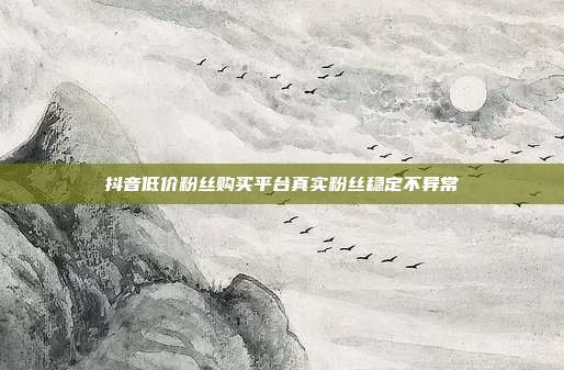抖音低价粉丝购买平台真实粉丝稳定不异常
