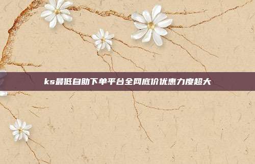 ks最低自助下单平台全网底价优惠力度超大