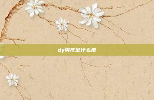 dy男孩是什么梗