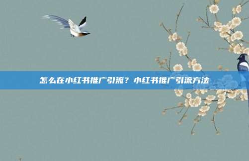 怎么在小红书推广引流?小红书推广引流方法