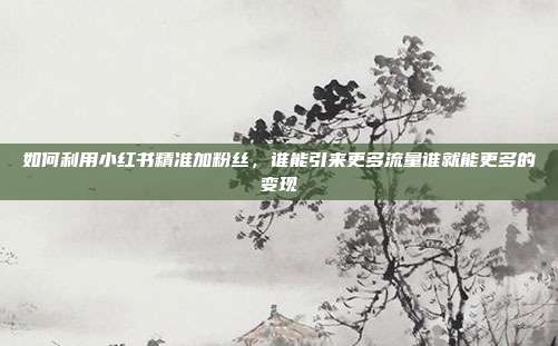如何利用小红书精准加粉丝,谁能引来更多流量谁就能更多的变现