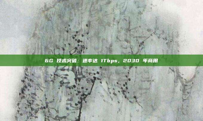 6G 技术突破：速率达 1Tbps，2030 年商用