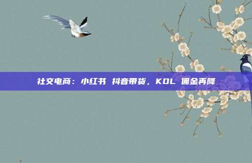 社交电商:小红书 抖音带货,KOL 佣金再降