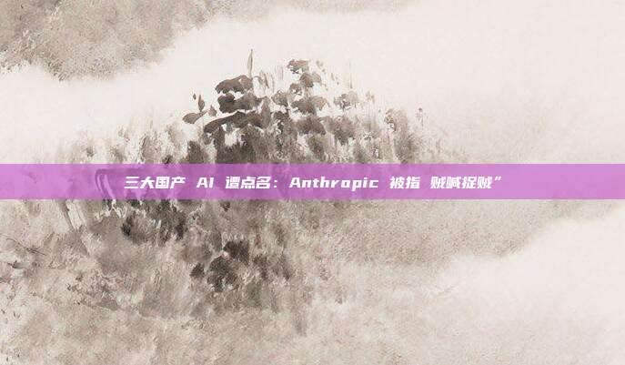 三大国产 AI 遭点名：Anthropic 被指 贼喊捉贼”