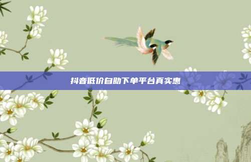 抖音低价自助下单平台真实惠