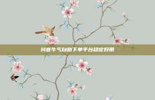 抖音牛气自助下单平台稳定好用