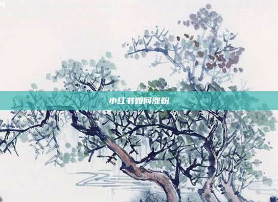 小红书如何涨粉