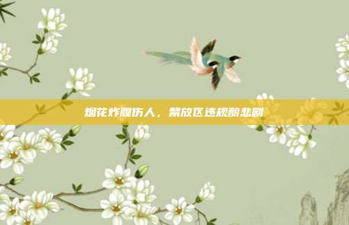 烟花炸膛伤人，禁放区违规酿悲剧