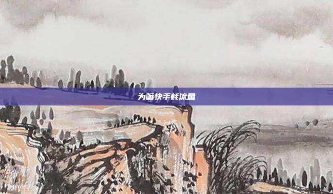 为嘛快手耗流量