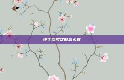 快手播放次数怎么算