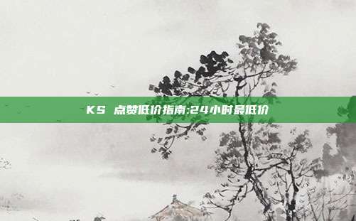 KS 点赞低价指南:24小时最低价