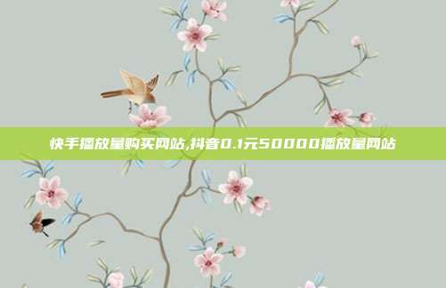 快手播放量购买网站,抖音0.1元50000播放量网站