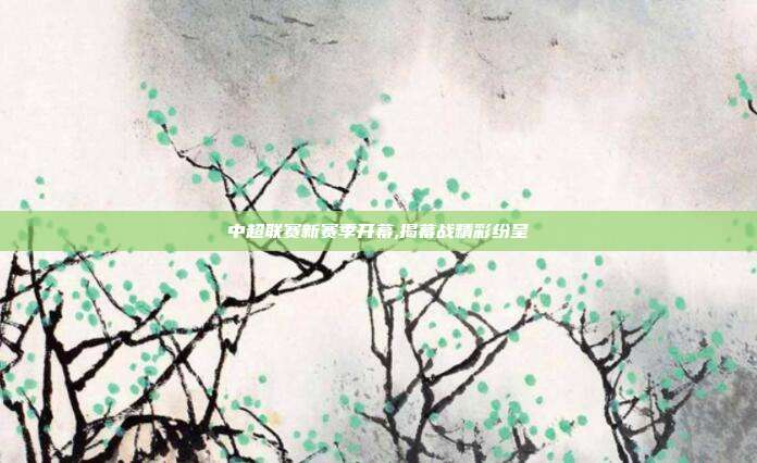 中超联赛新赛季开幕,揭幕战精彩纷呈