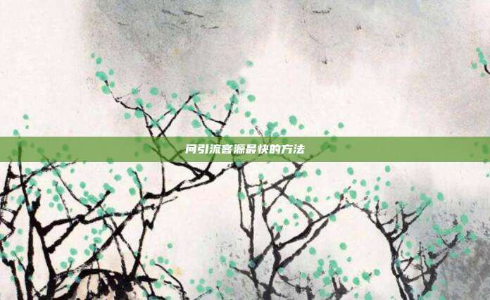 问引流客源最快的方法