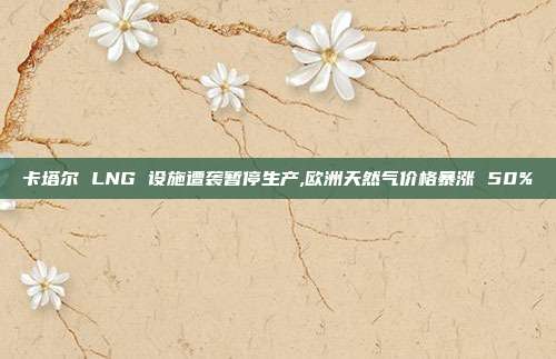 卡塔尔 LNG 设施遭袭暂停生产,欧洲天然气价格暴涨 50%