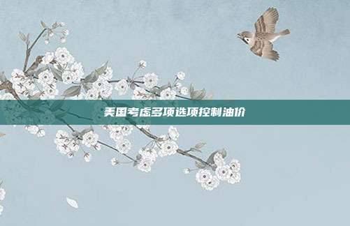 美国考虑多项选项控制油价