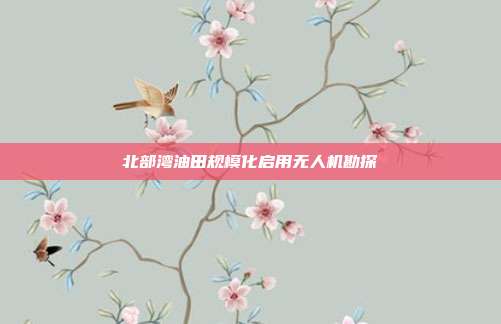 北部湾油田规模化启用无人机勘探