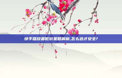 快手播放最低价策略解析,怎么选才安全?