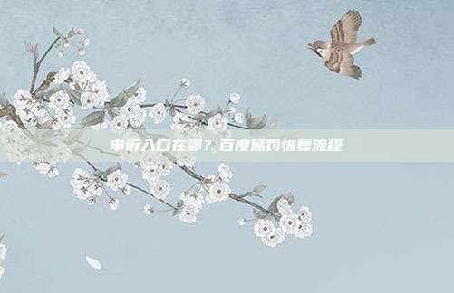 申诉入口在哪？百度惩罚恢复流程