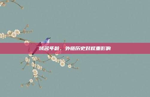 域名年龄、外链历史对权重影响