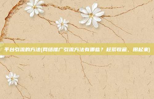 平台引流的方法(网络推广引流方法有哪些?赶紧收藏,用起来)
