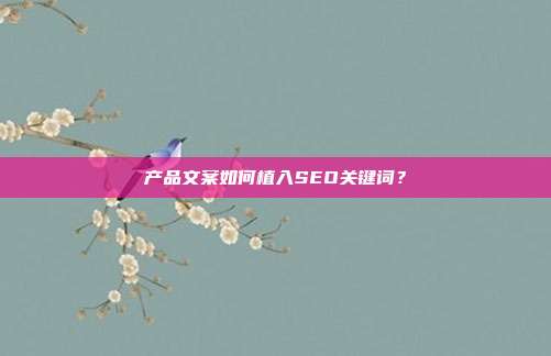 产品文案如何植入SEO关键词？