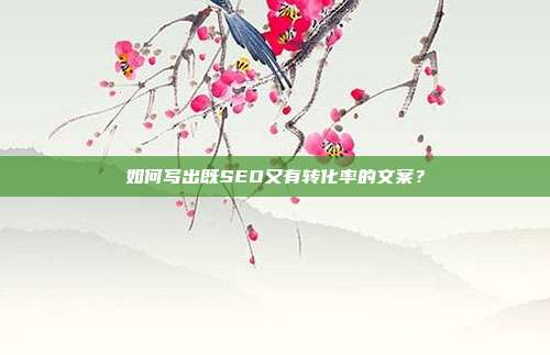 如何写出既SEO又有转化率的文案?