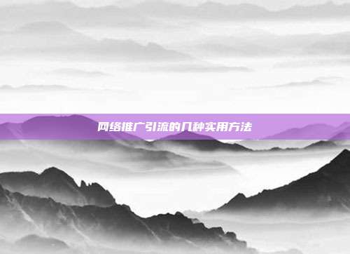 网络推广引流的几种实用方法