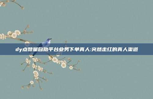 dy点赞量自助平台业务下单真人:突然走红的真人渠道