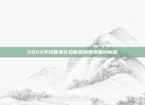 2025年我国非化石能源消费增量创新高