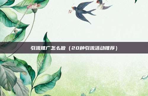 引流推广怎么做（20种引流活动推荐）